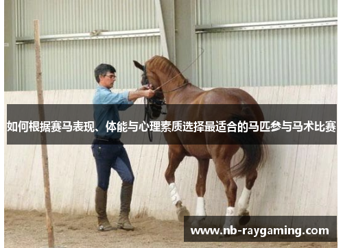 如何根据赛马表现、体能与心理素质选择最适合的马匹参与马术比赛