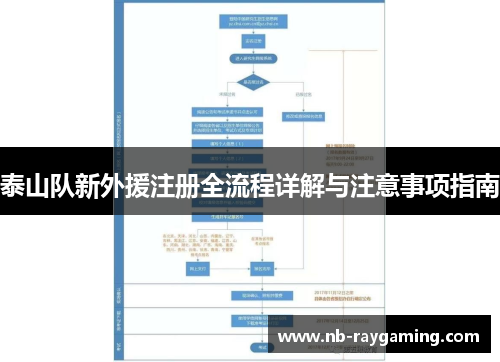 泰山队新外援注册全流程详解与注意事项指南