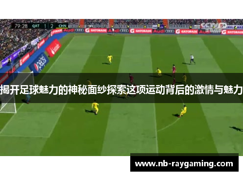 揭开足球魅力的神秘面纱探索这项运动背后的激情与魅力