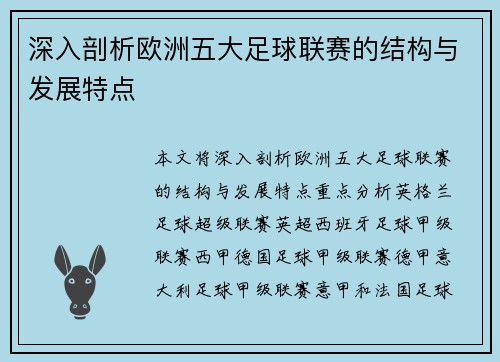 深入剖析欧洲五大足球联赛的结构与发展特点
