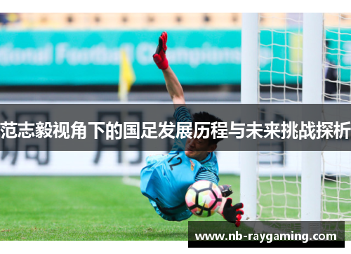 范志毅视角下的国足发展历程与未来挑战探析